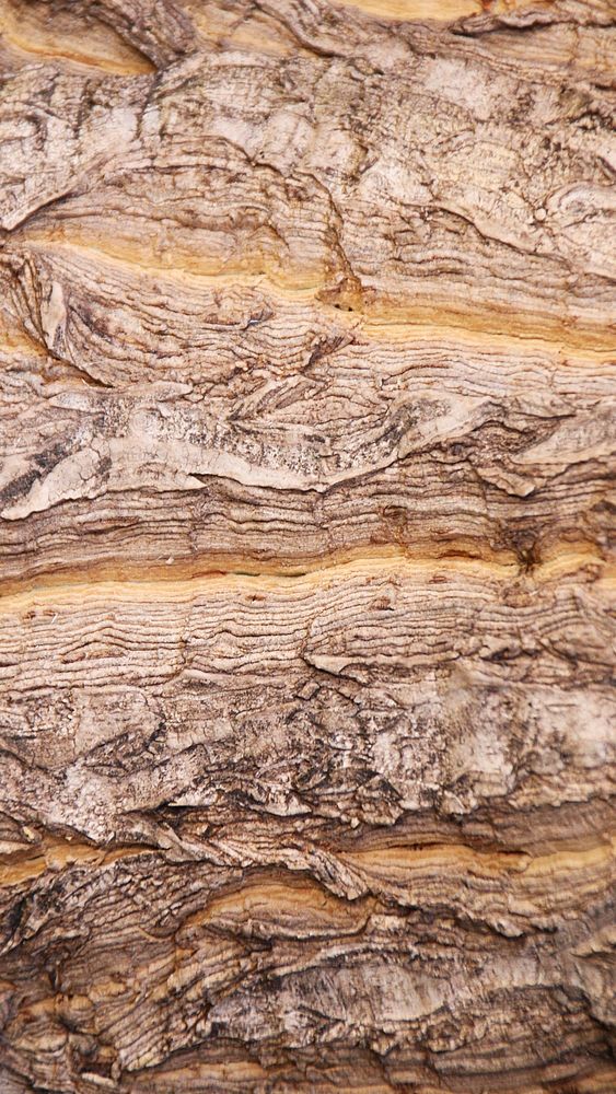 Rough wood texture iPhone wallpaper, abstract background