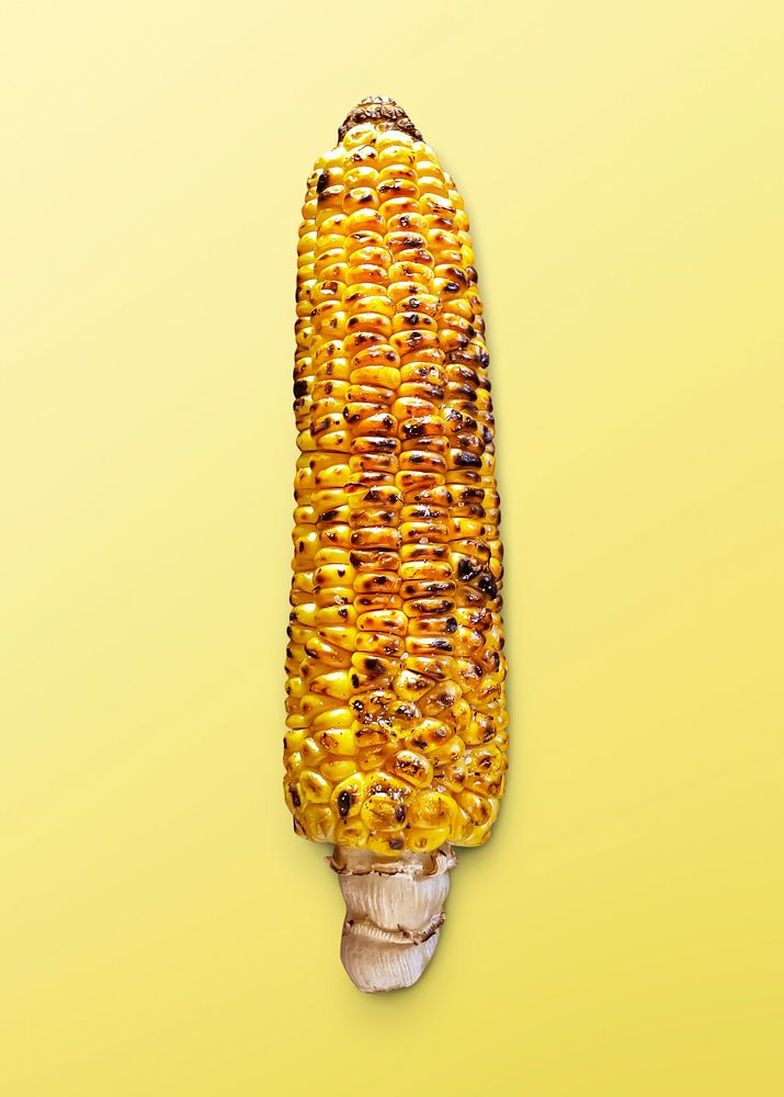 Grilled corn sticker, food photography psd