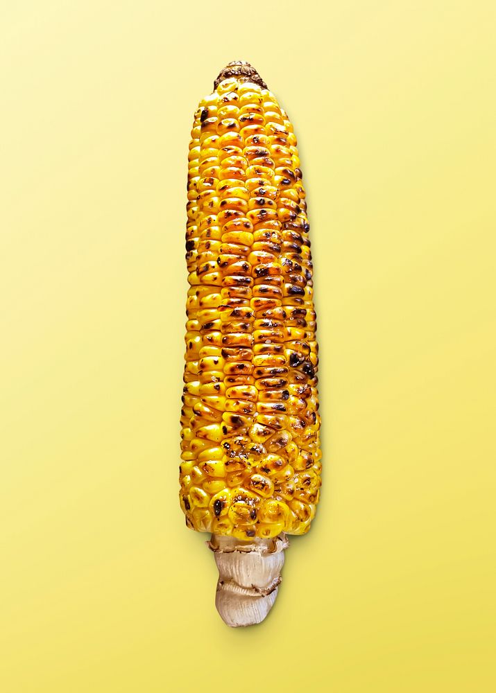 Grilled corn on yellow background, food photography