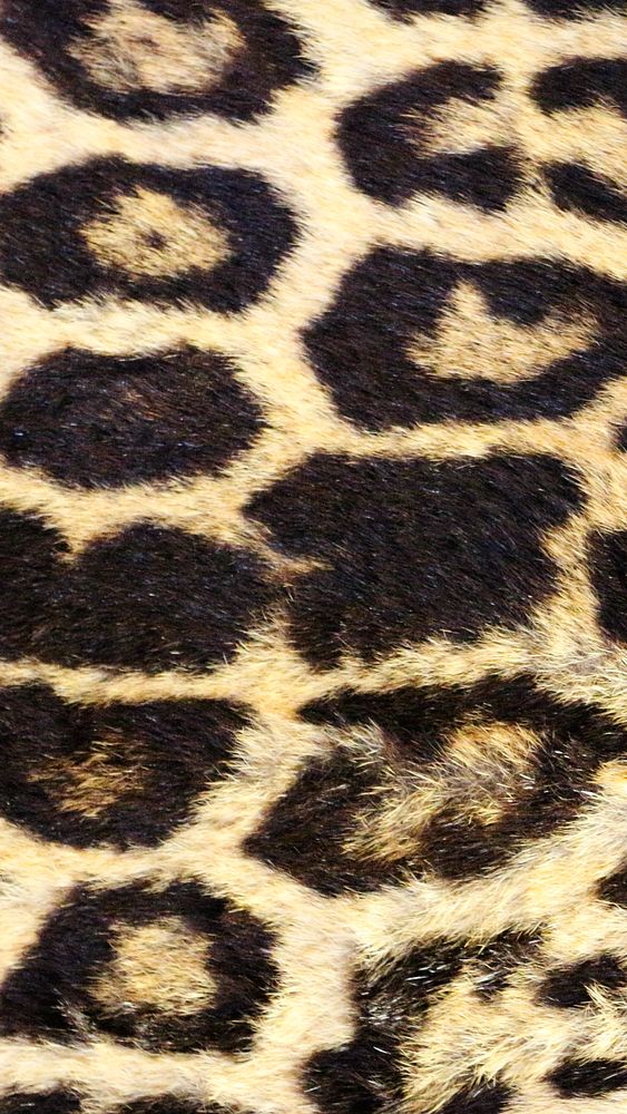 Leopard pattern mobile wallpaper, aesthetic high definition background