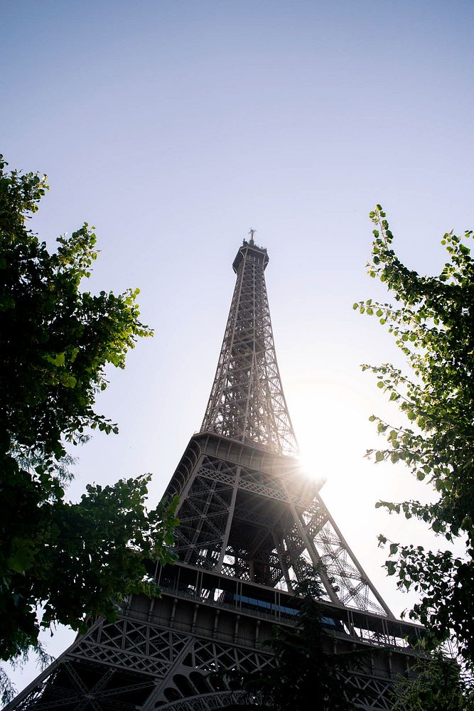 Low angle view of Eiffel Tower with tree branches and sunlight
