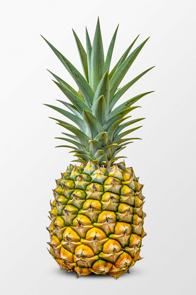 Fresh pineapple clipart, tropical fruit