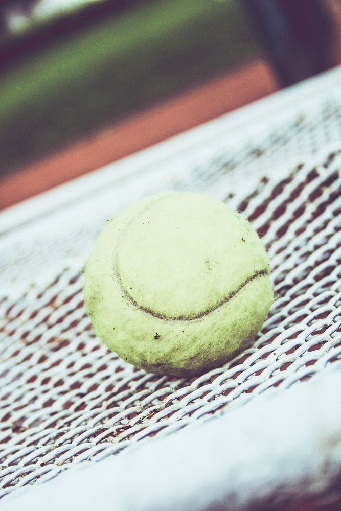 Tennis ball on a racket