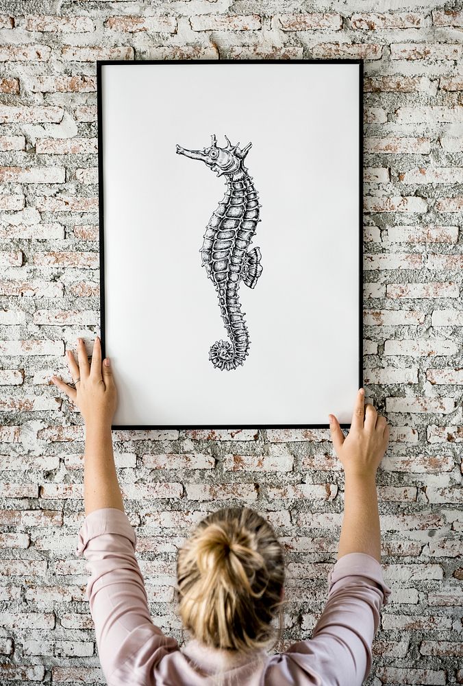 Photo of hand drawing seahorse is hanging on the wall