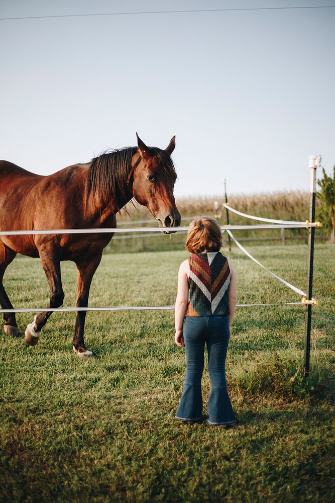 Young girl with a horse in the field