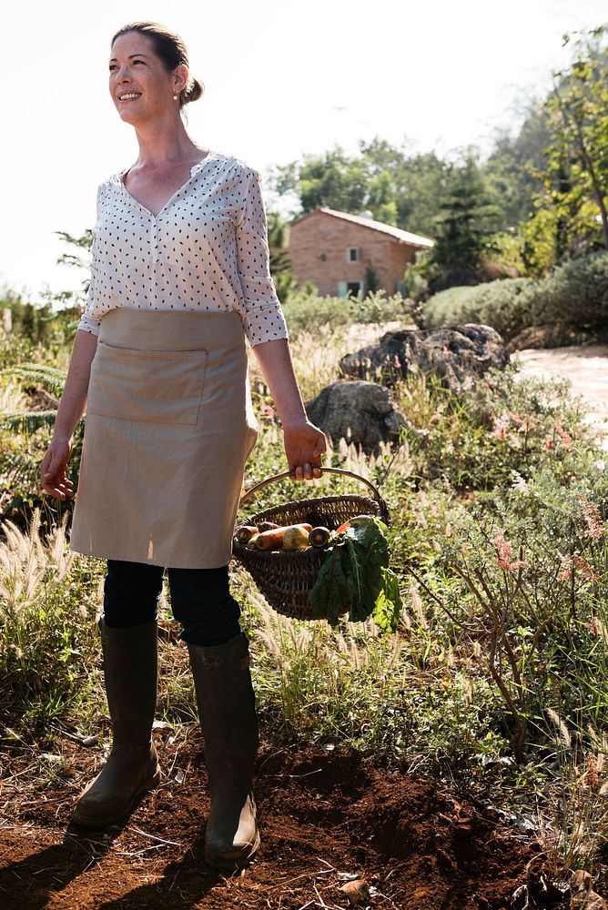 Farmer's wife collecting vegetables in the garden