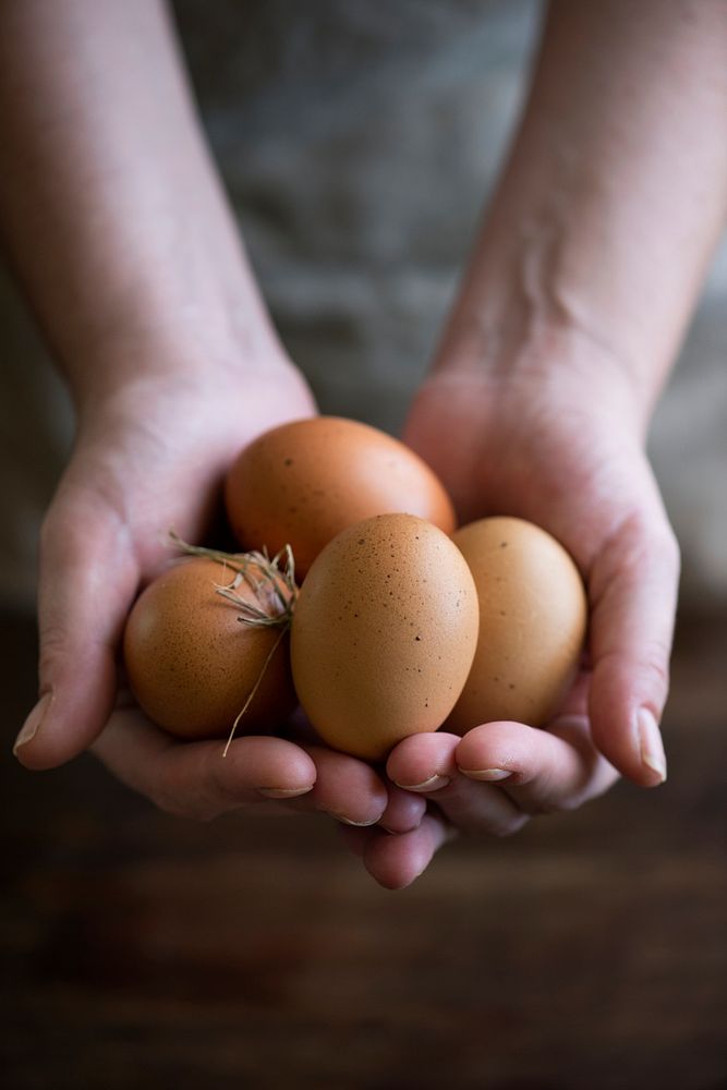 Brown organic free range eggs