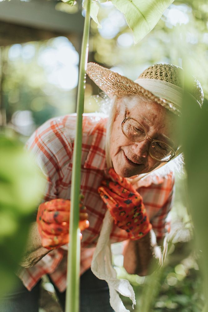 Senior woman tending to the plants in her garden