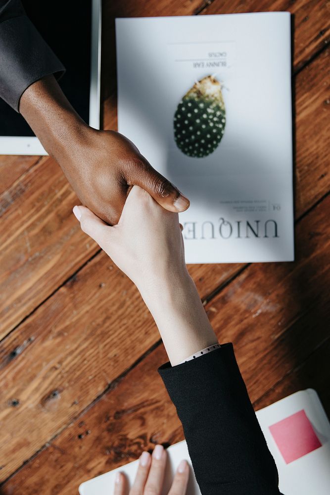 Diverse businesspeople making a deal