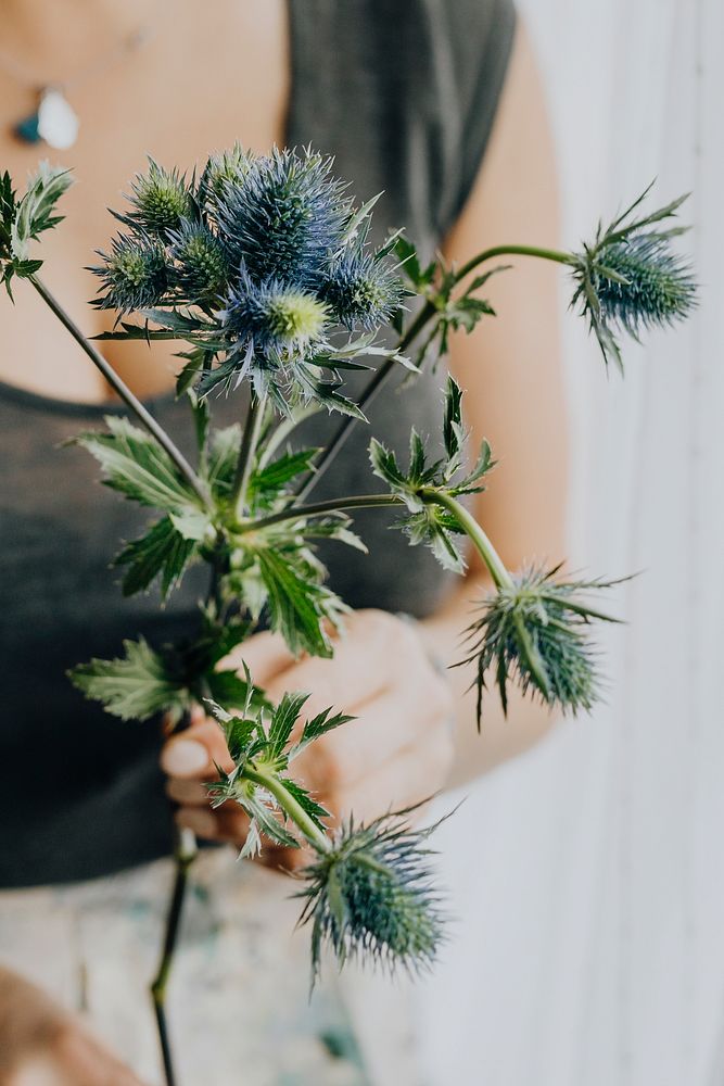 Woman holding a blue thistle