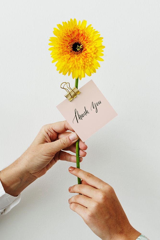 Hand giving a yellow gerbera daisy with a card mockup