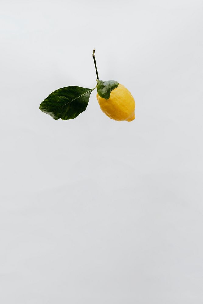 Flying fresh lemon in a gray sky