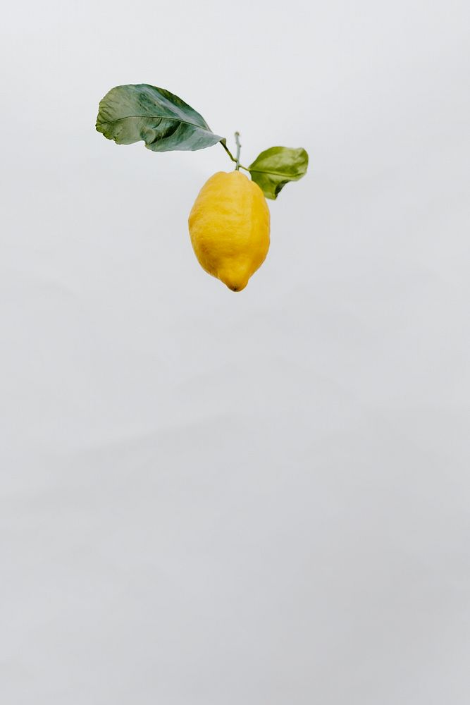Flying fresh lemon in a gray sky