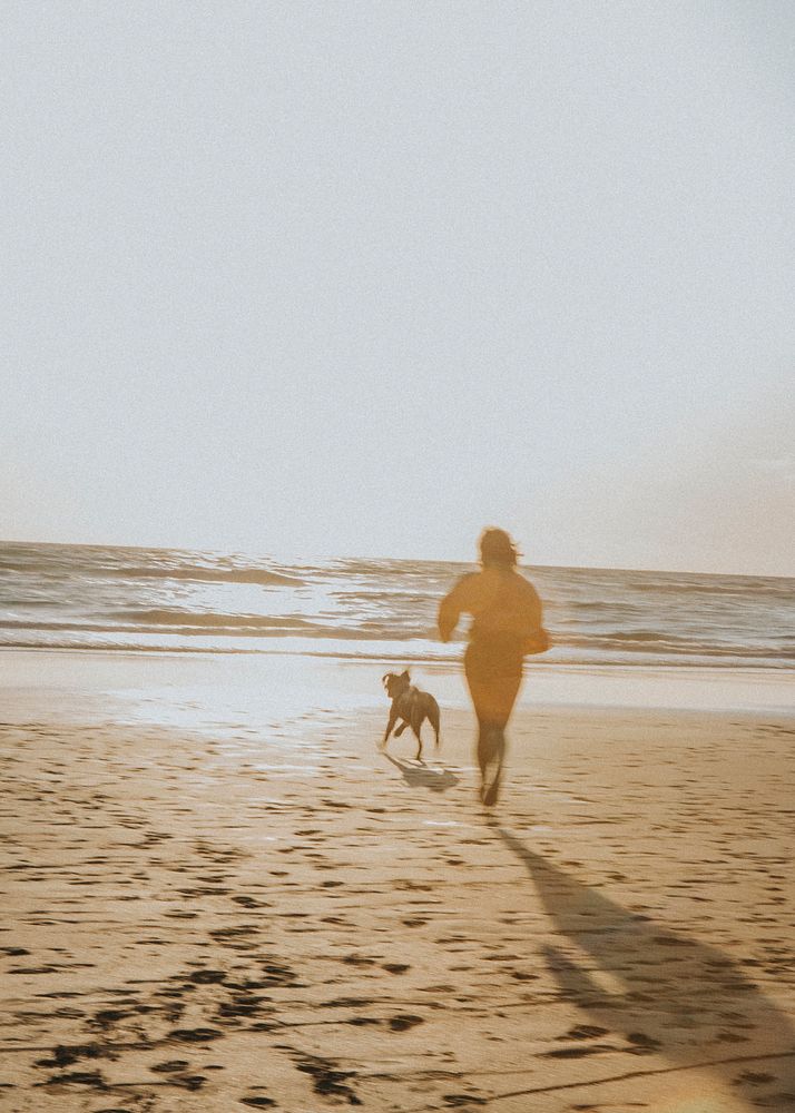 Woman and her dog playing at the beach