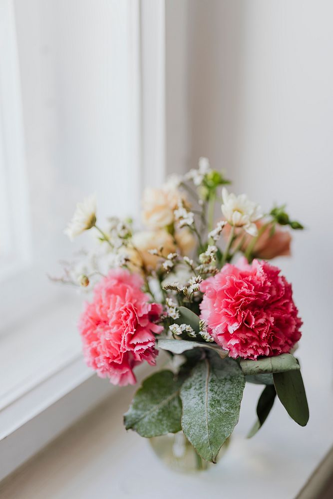 Closeup of carnations in a vase by the window