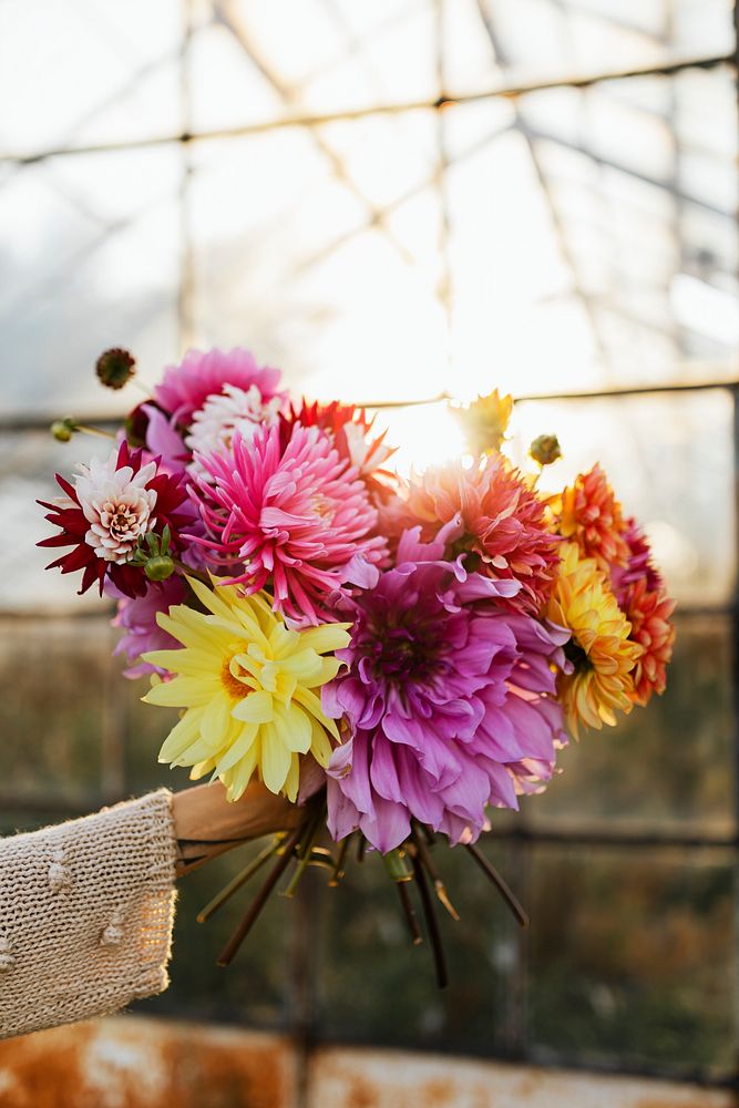 Woman holding a bouquet of colorful flowers