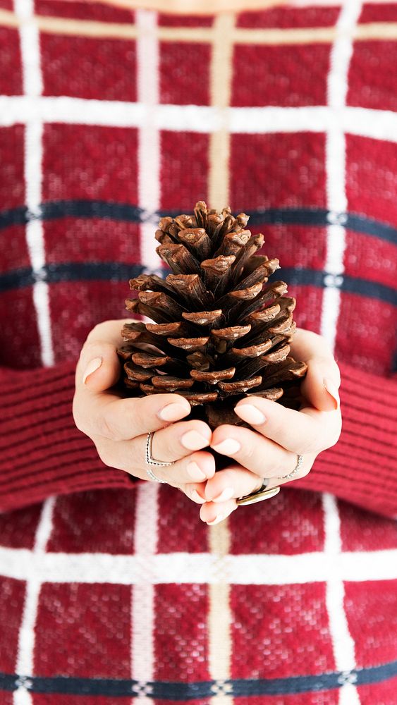 Woman holding a conifer cone mobile phone wallpaper
