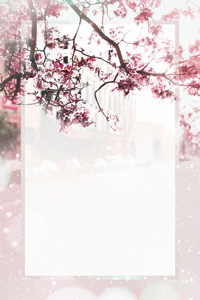 Cherry blossoms on a street frame mockup