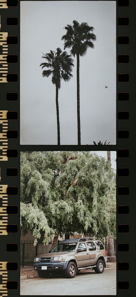Los Angeles photography in a film strip