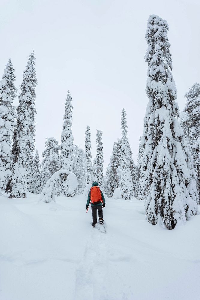 Woman trekking through a snow covered Lapland, Finland