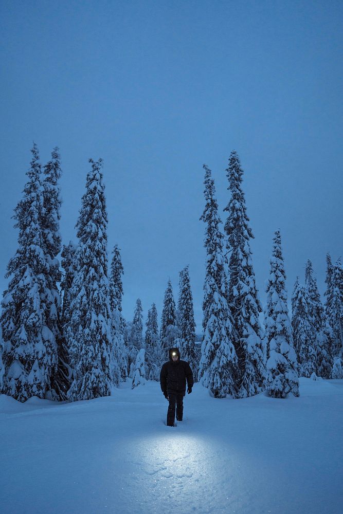 Woman walking with a headlamp in a snowy Riisitunturi National Park, Finland