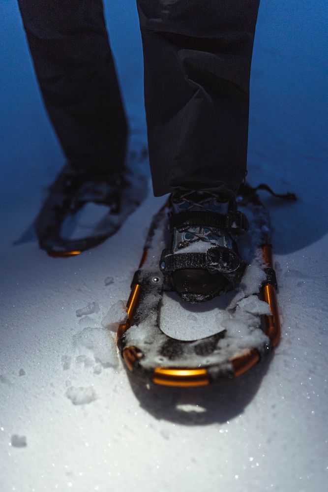 Closeup of snowshoes in the snow