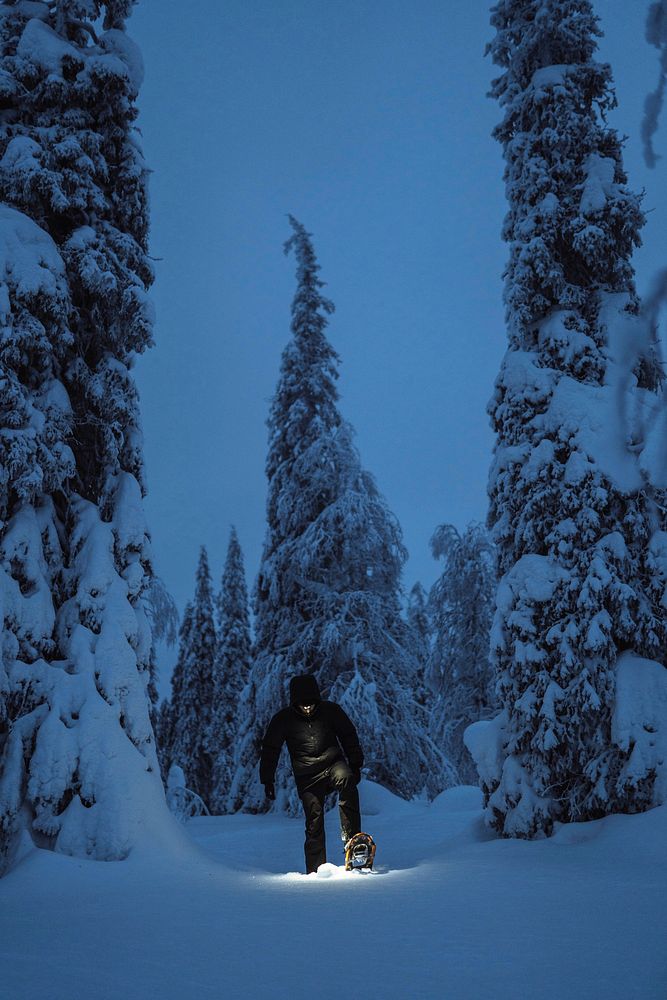 Woman walking with a headlamp in a snowy Riisitunturi National Park, Finland