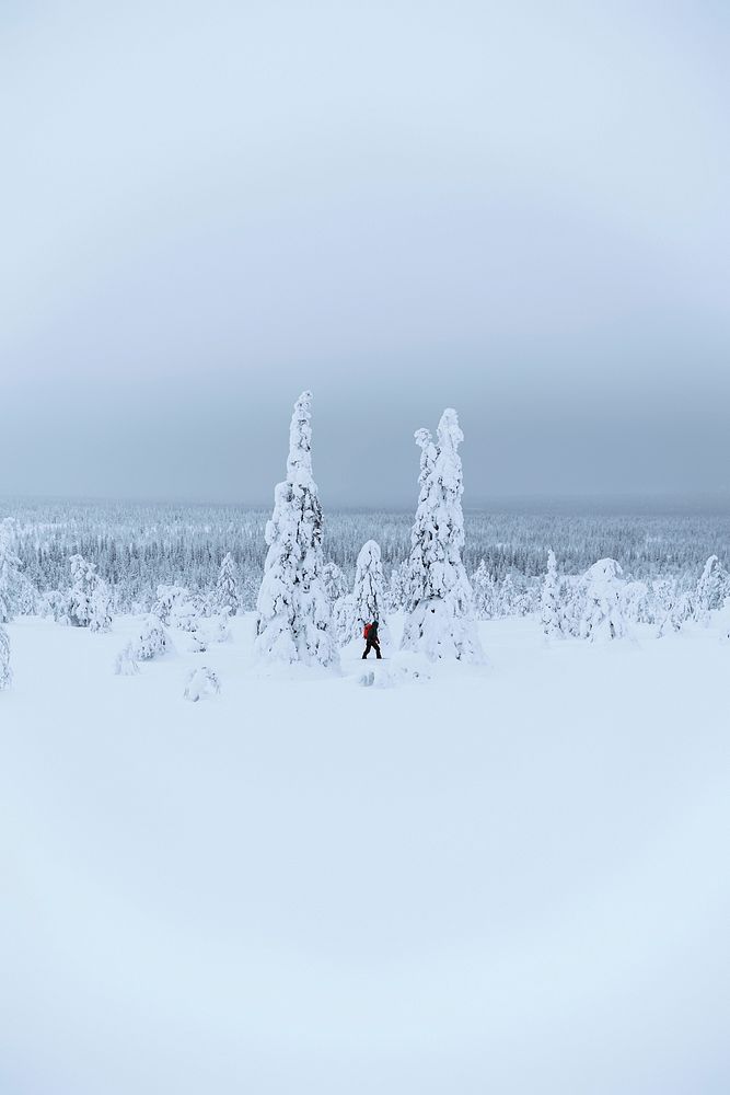 Mountaineer trekking in the snow at Lapland, Finland