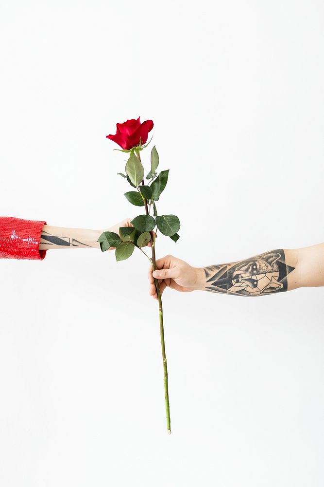 Tattooed hand giving a rose for Valentines day