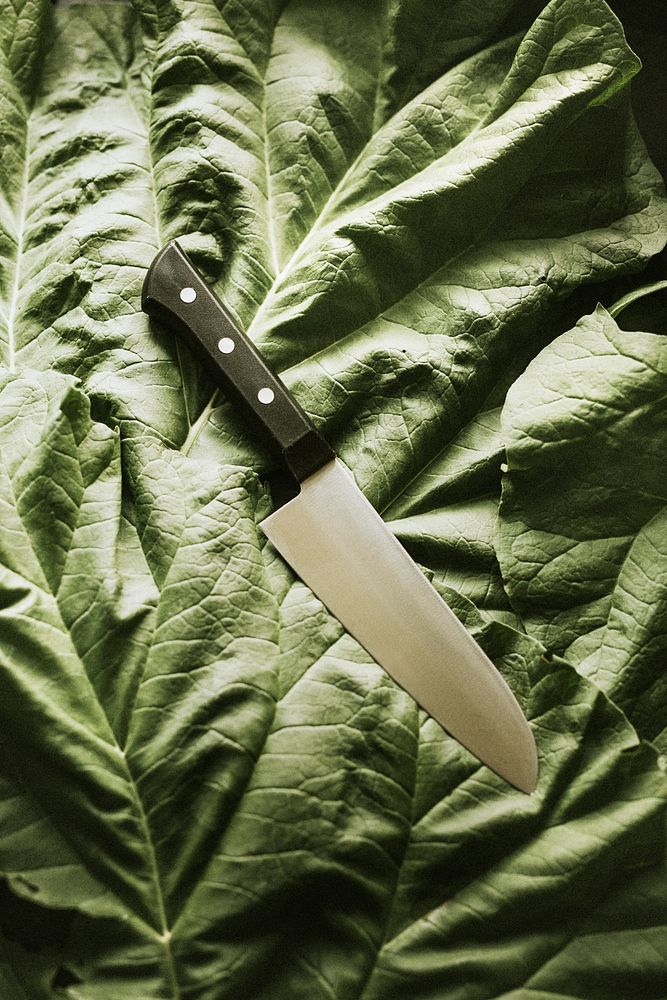 Chef's knife on a fresh vegetable flatlay