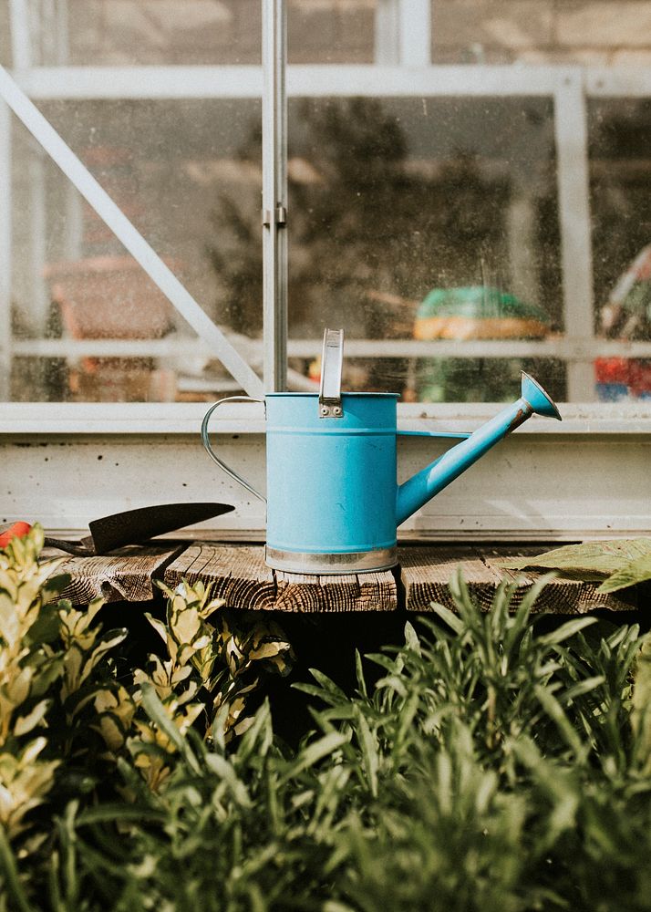Blue watering can on rustic wooden table