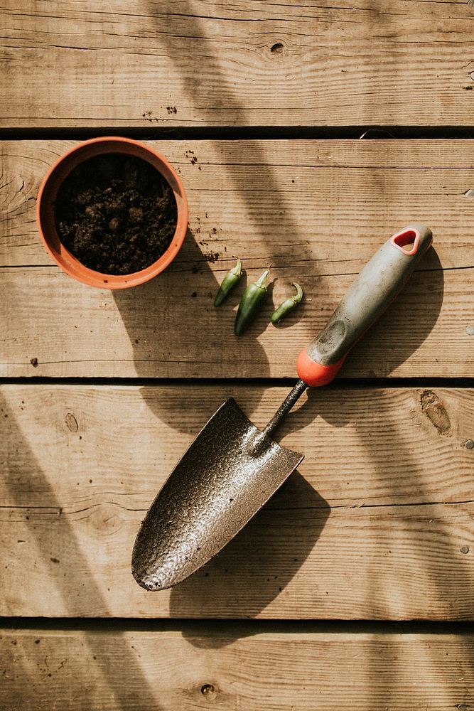 Plant pots and seeds with trowel on wooden table