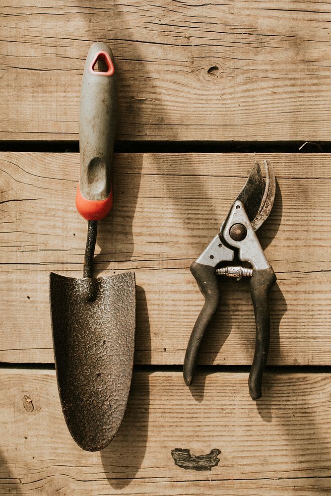 Gardening scissors and trowel on a wooden background flatlay