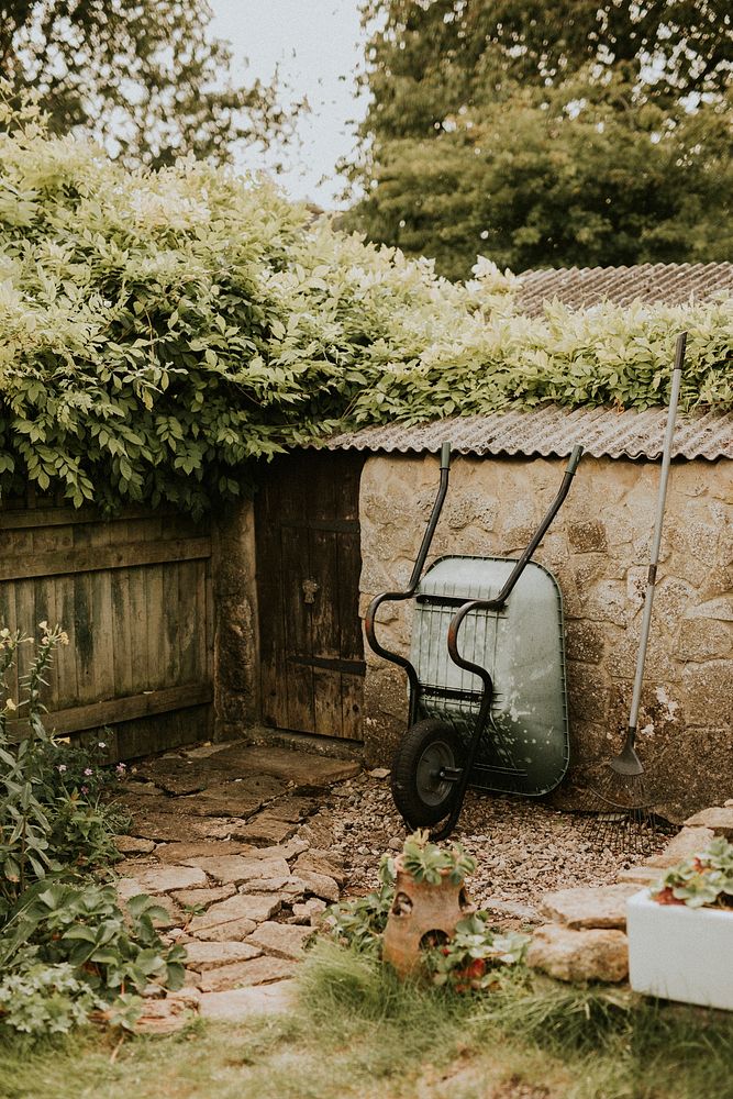 Small backyard home garden with tools