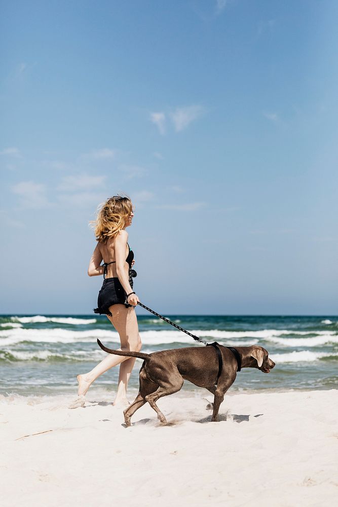 Woman walking her Weimaraner dog at the beach