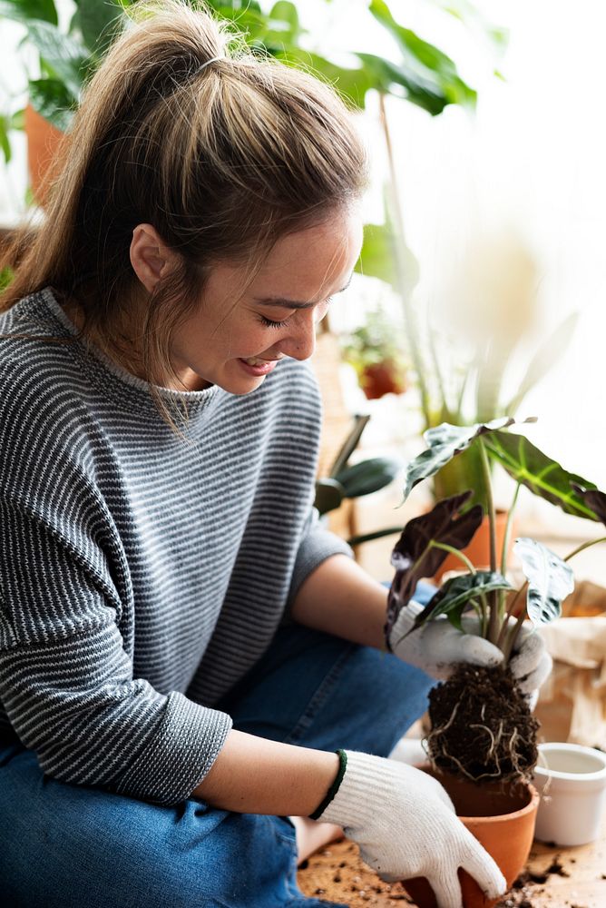 Woman repotting a houseplant inside of her house