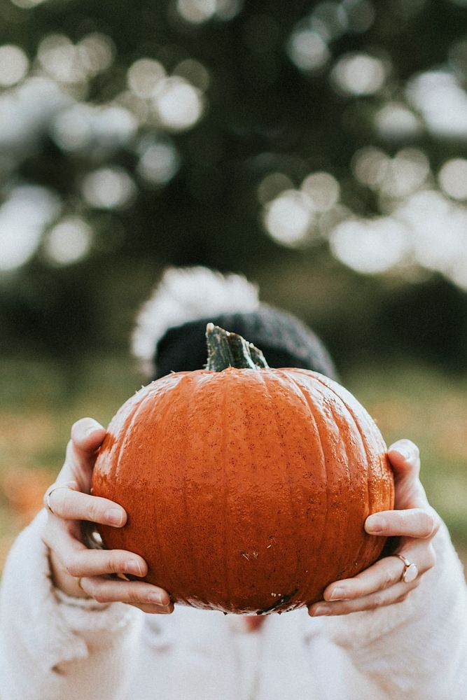 Woman holding Halloween pumpkin in a farm