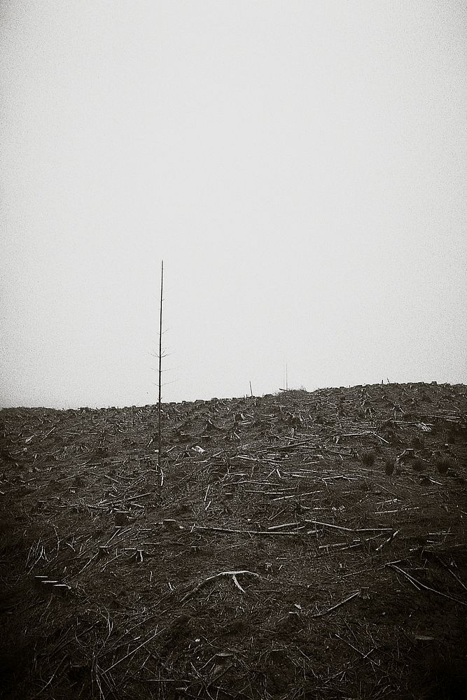 Barren field landscape in black and white