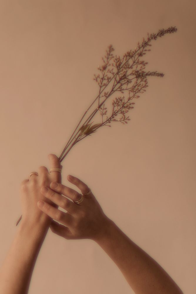 Feminine hands background, brown aesthetic design