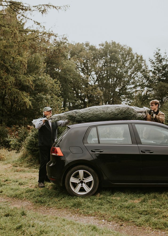 Men hauling Christmas tree over their car