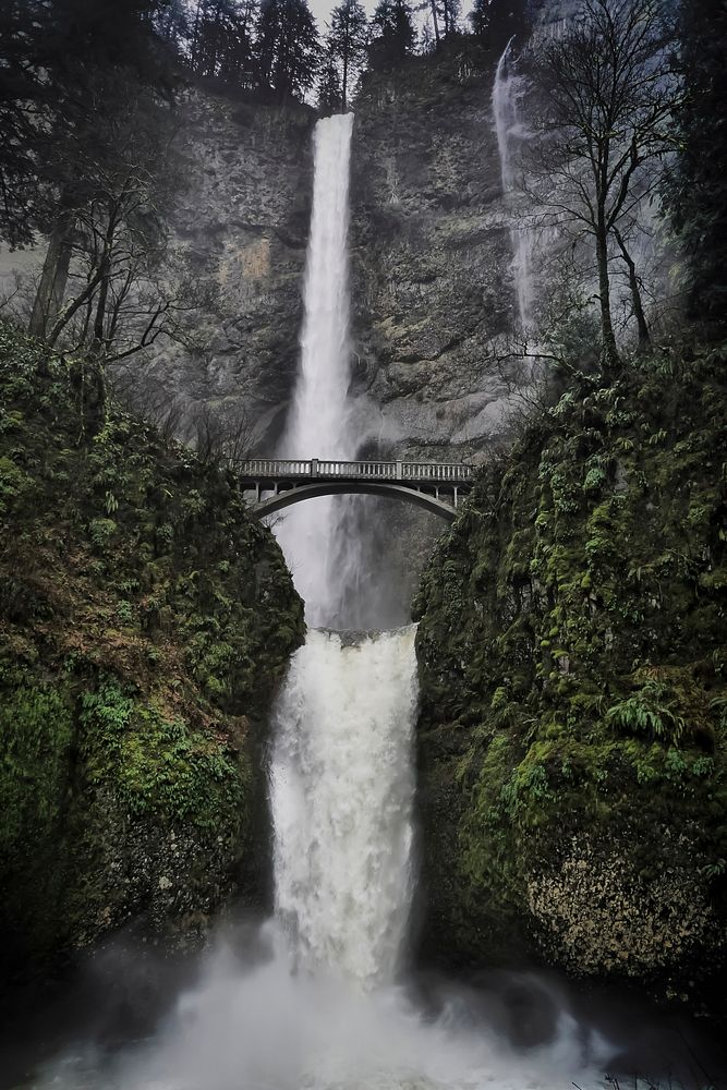 View of Multnomah Falls in Oregon, USA