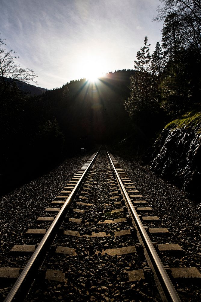 Railroad in the forest of Dunsmuir in California, USA