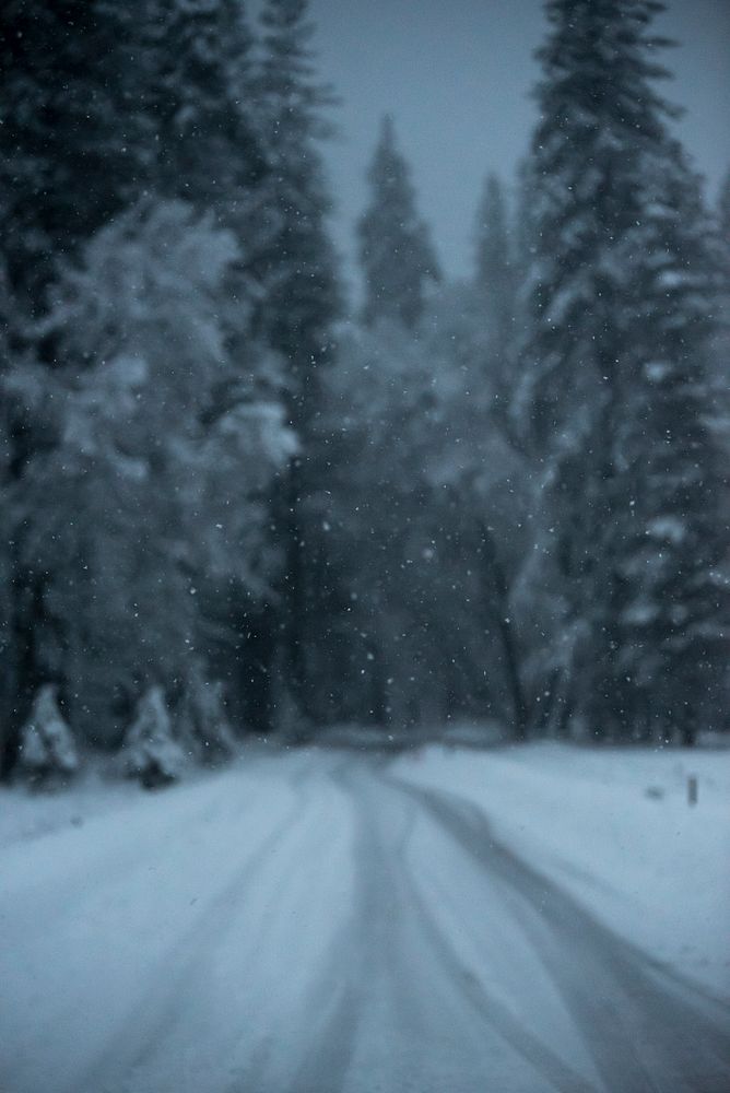 Frozen road in Yosemite National Park,California