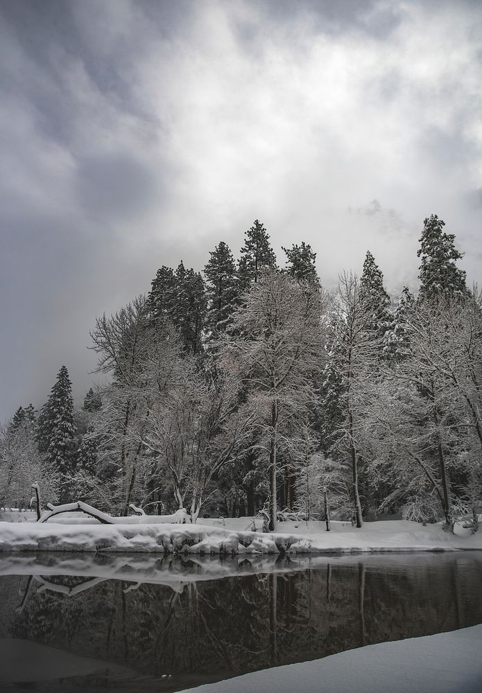 Winter in Yosemite National Park, United States