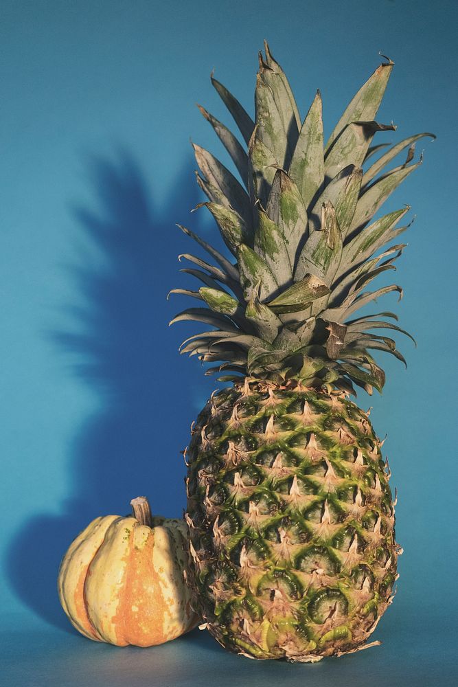 Tropical pineapple and a pumpkin