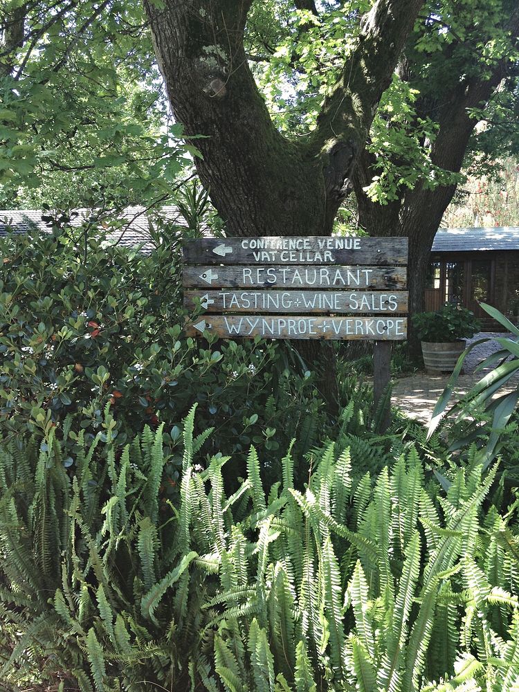 Wooden signs in a garden