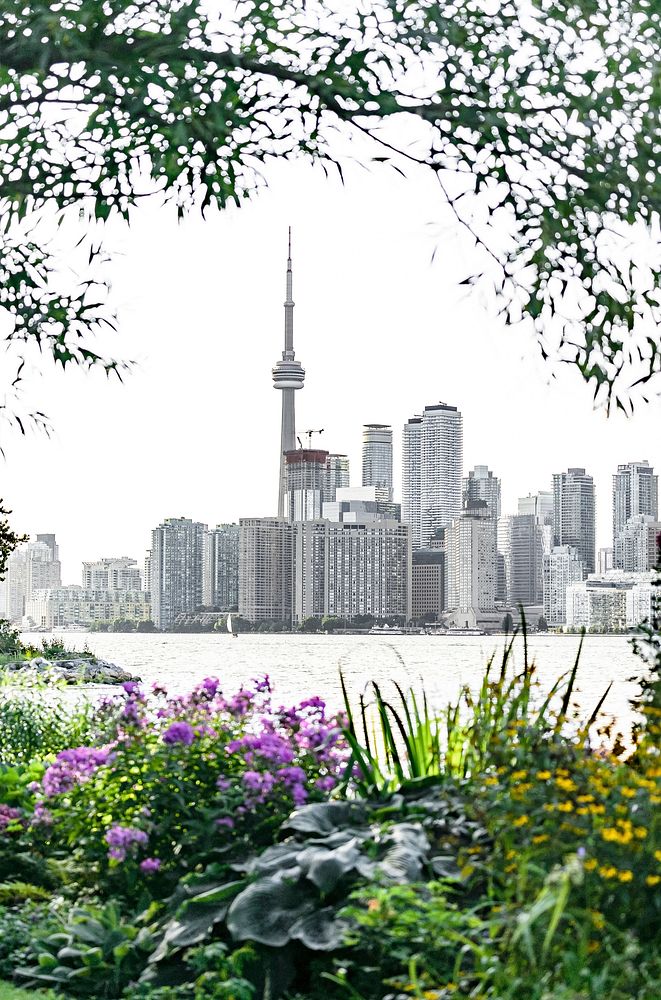 View of Toronto skyline, Canada