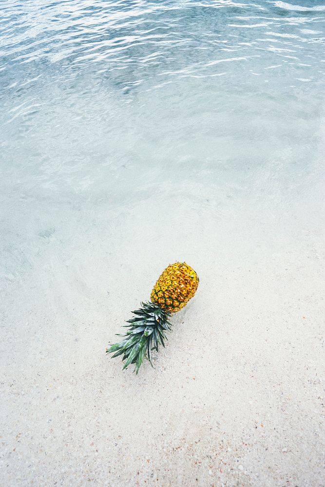 Ripe pineapple on the seashore