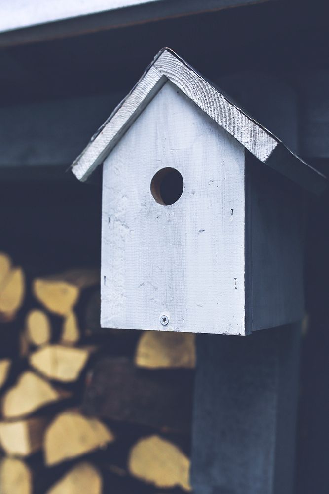 Homemade wooden birdhouse. Visit Kaboompics for more free images.
