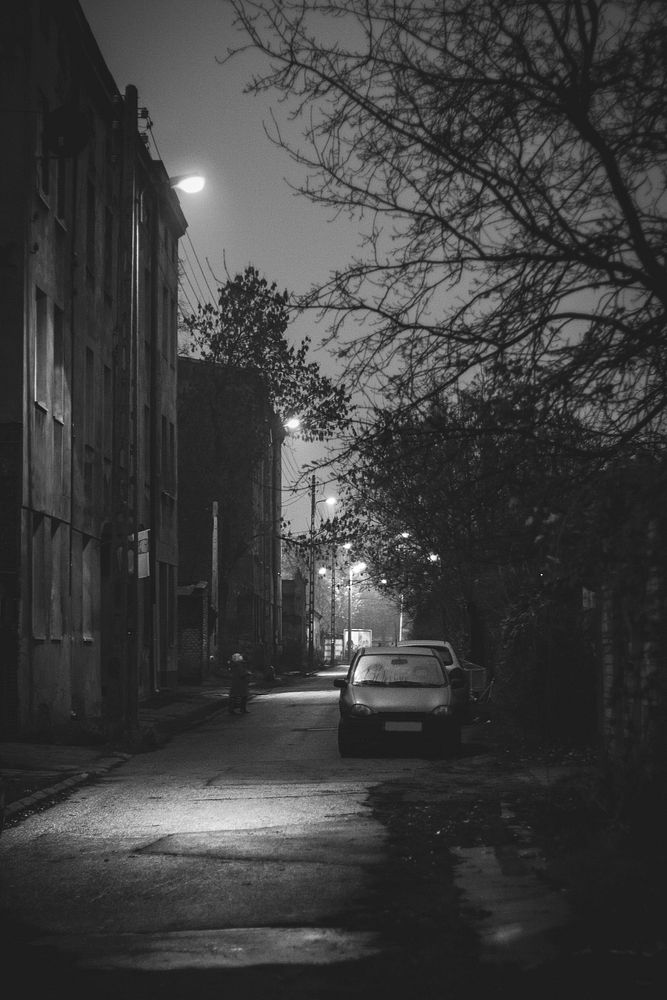 Street by night. Visit Kaboompics for more free images.